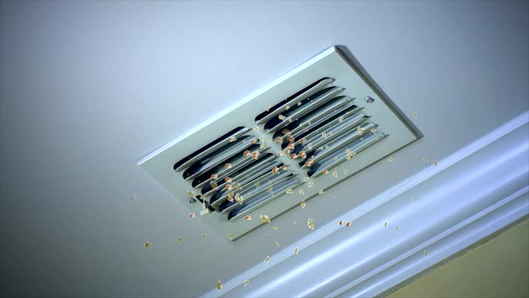 Best Affordable Air Duct Cleaning  in Alton, IL