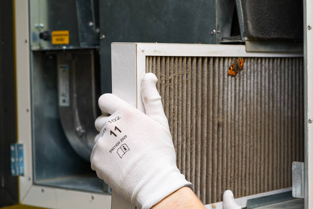 Best Duct Cleaning for Homes  in Alton, IL