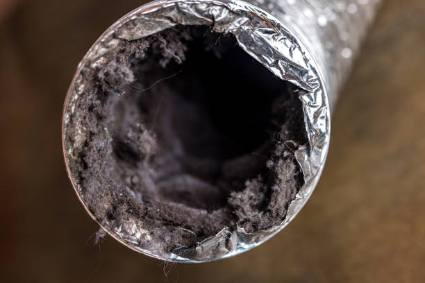 Best Commercial Air Duct Cleaning  in Alton, IL