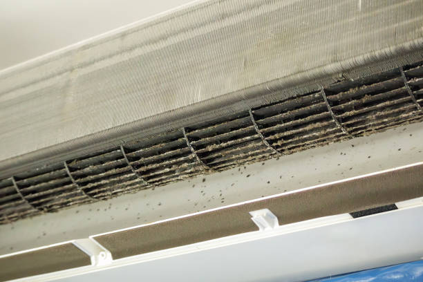 Best Air Duct Cleaning Near Me  in Alton, IL